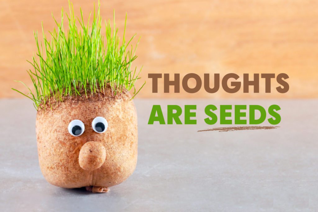 thoughts are seeds