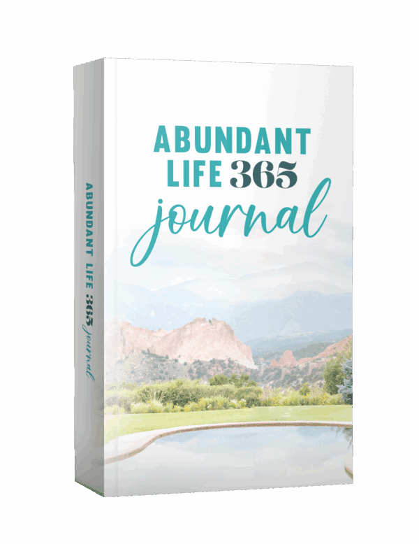 Abundant Life Christmas Bundle - Image 2